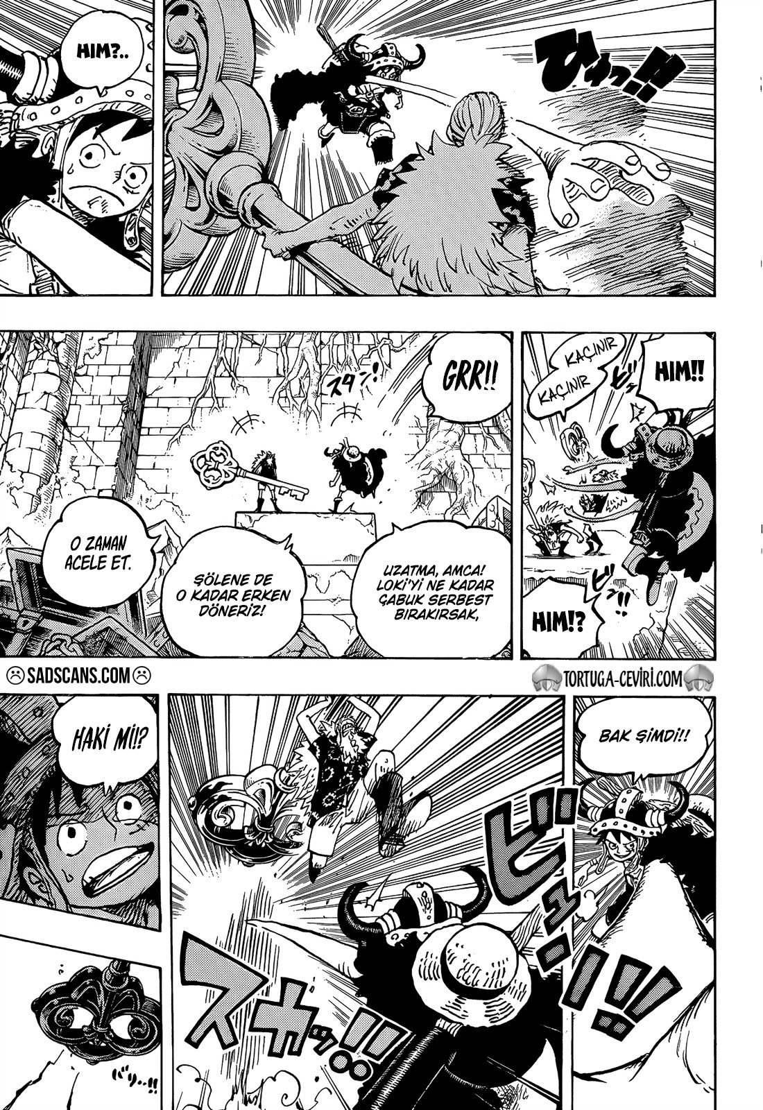 Read One Piece TR Manga Online