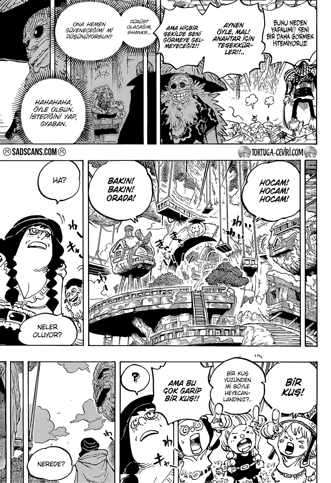 Read One Piece TR Manga Online