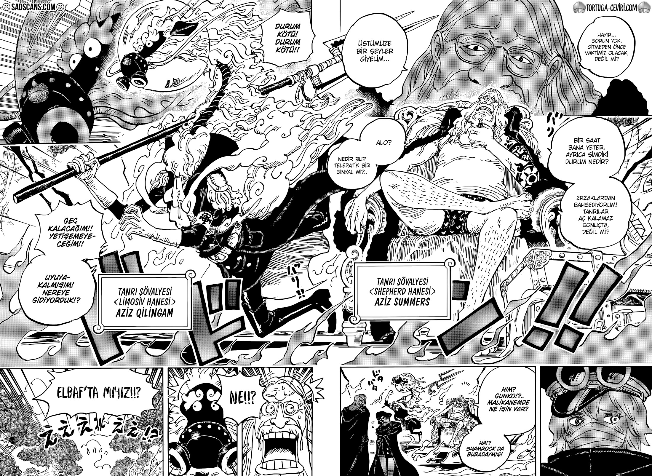 Read One Piece TR Manga Online