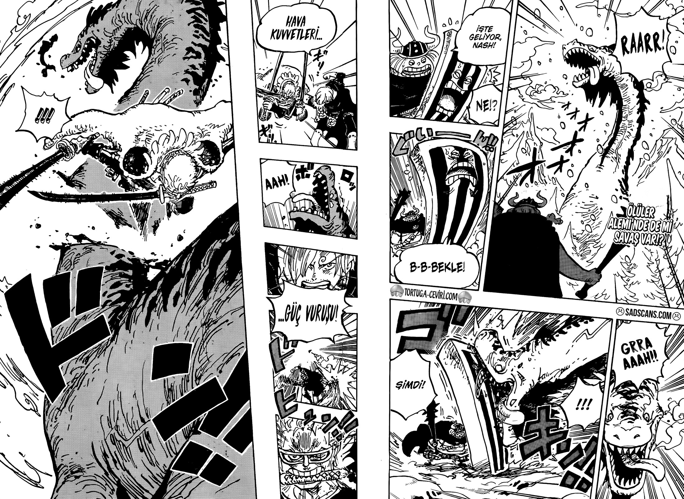 Read One Piece TR Manga Online
