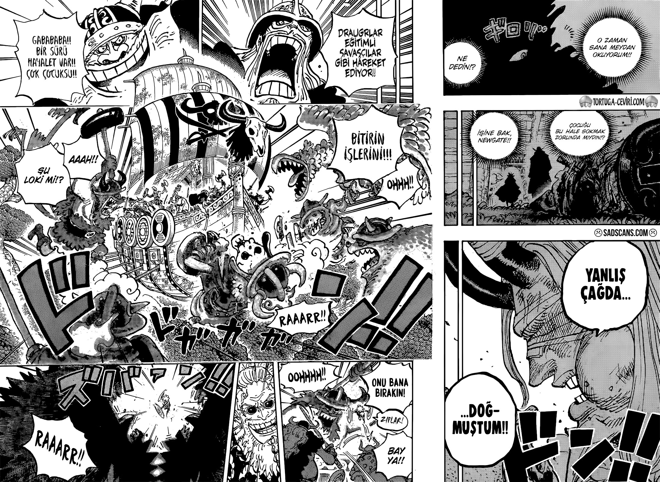 Read One Piece TR Manga Online