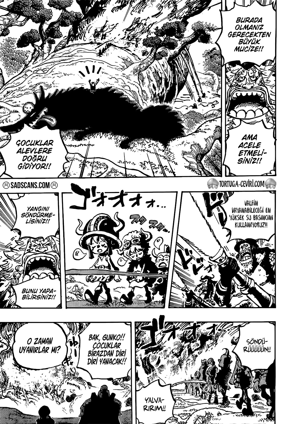 Read One Piece TR Manga Online