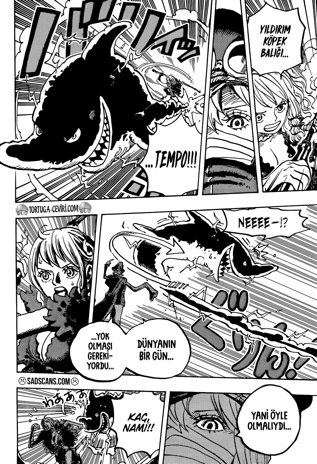 Read One Piece TR Manga Online