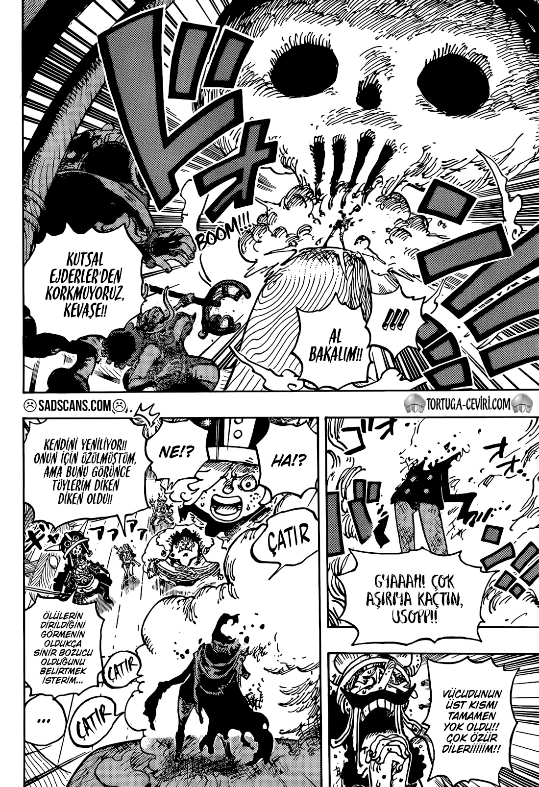 Read One Piece TR Manga Online