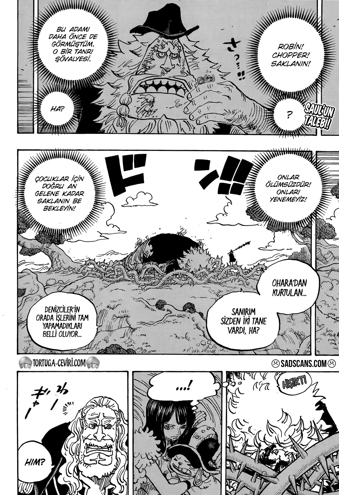 Read One Piece TR Manga Online