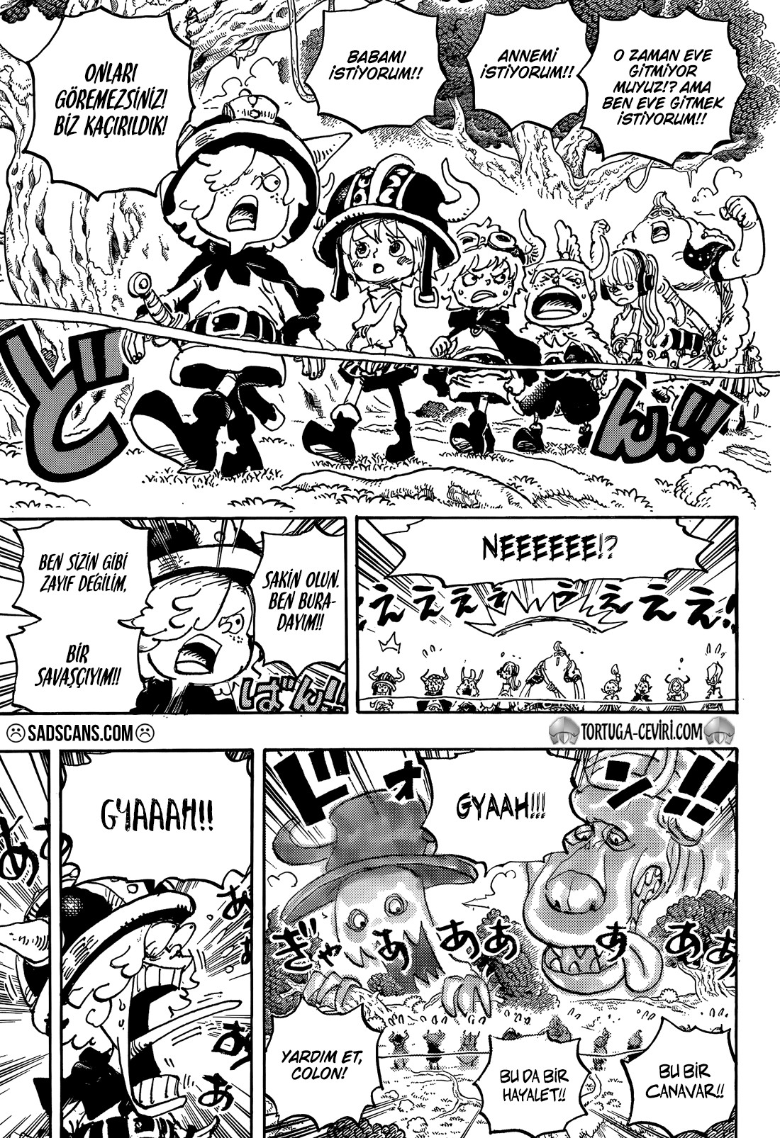 Read One Piece TR Manga Online