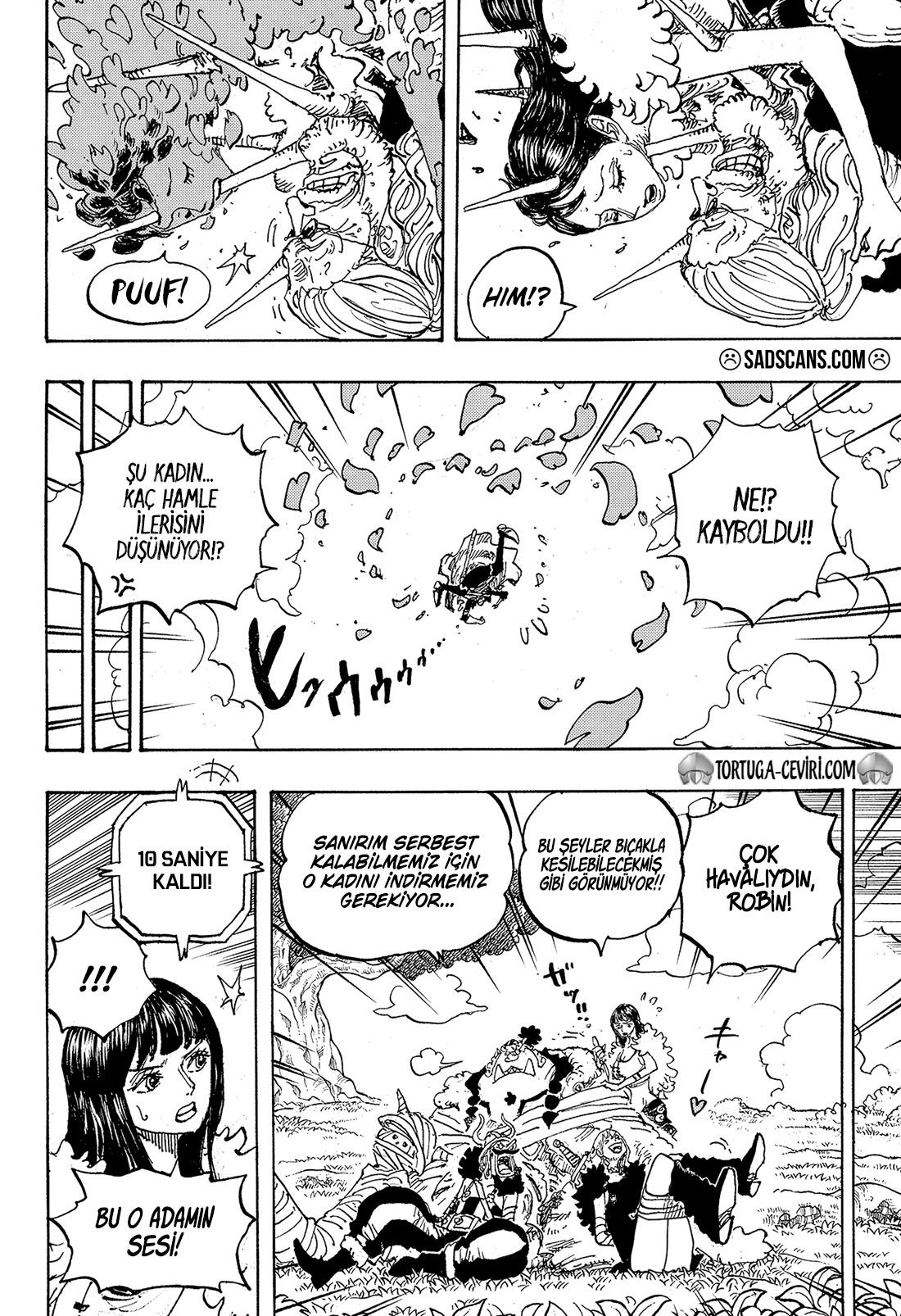 Read One Piece TR Manga Online