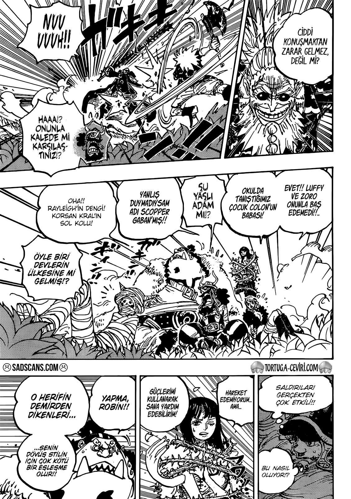 Read One Piece TR Manga Online