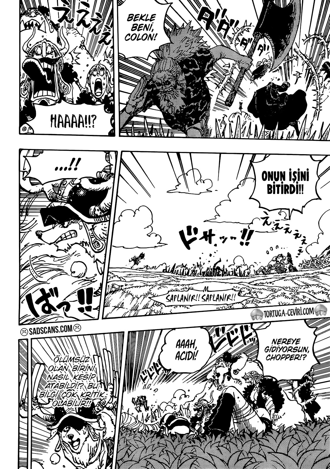 Read One Piece TR Manga Online