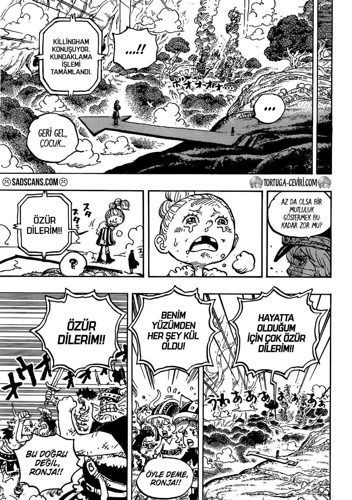 Read One Piece TR Manga Online