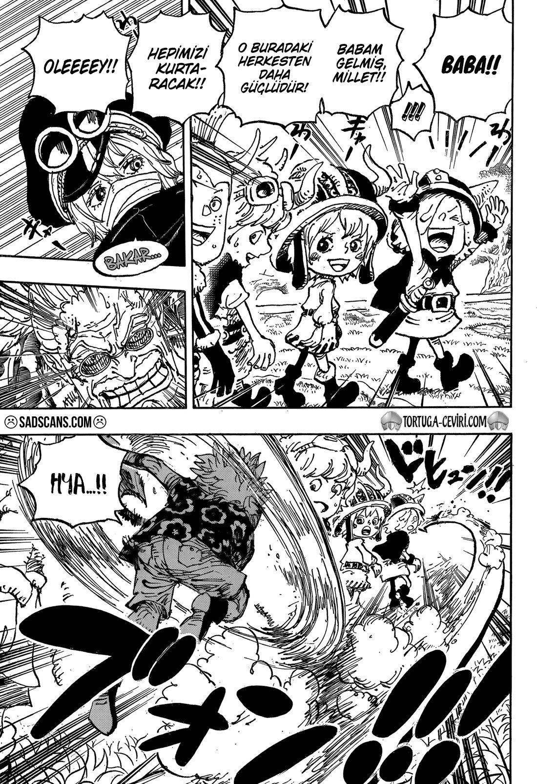 Read One Piece TR Manga Online