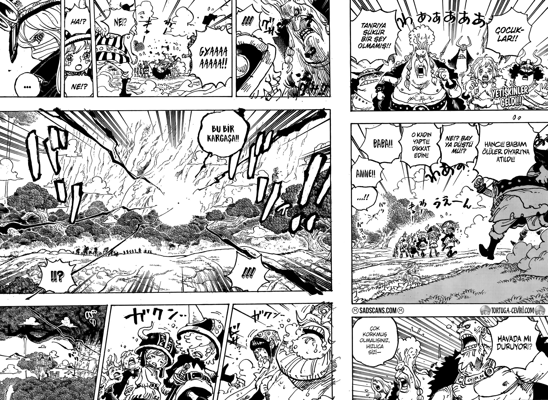 Read One Piece TR Manga Online