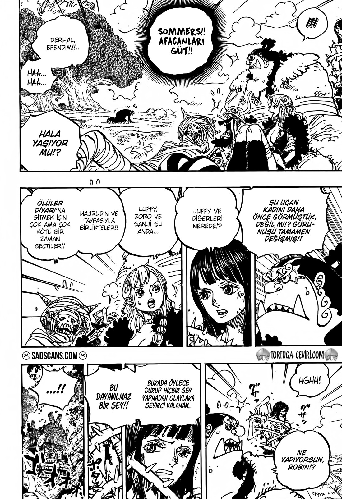 Read One Piece TR Manga Online