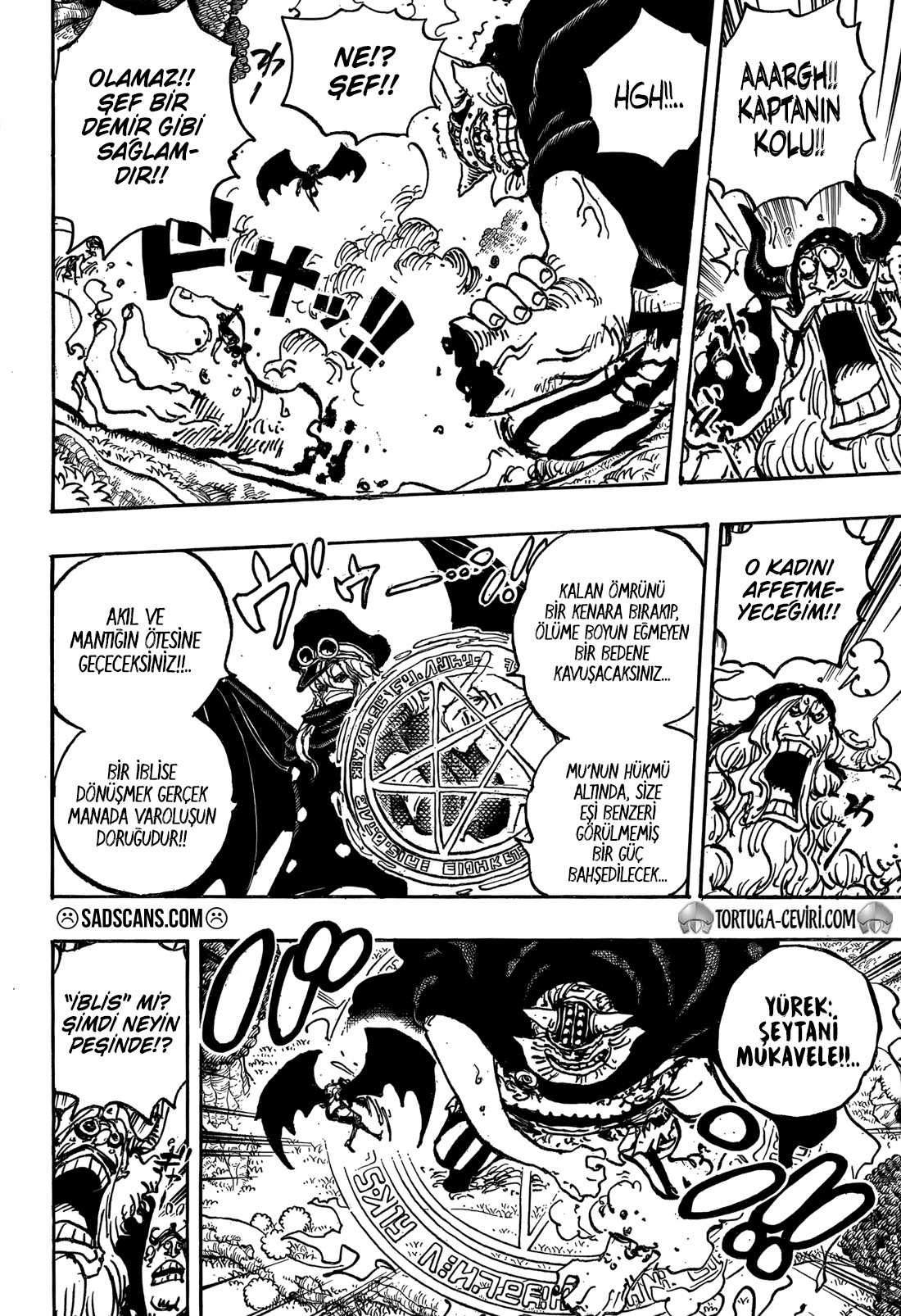 Read One Piece TR Manga Online