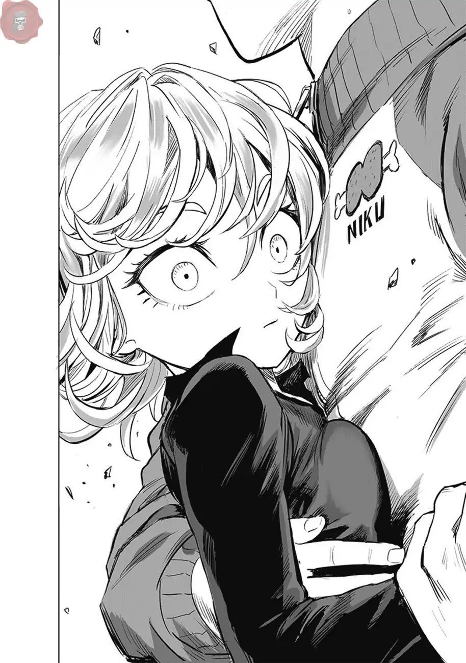 Read One Punch-Man TR Manga Online