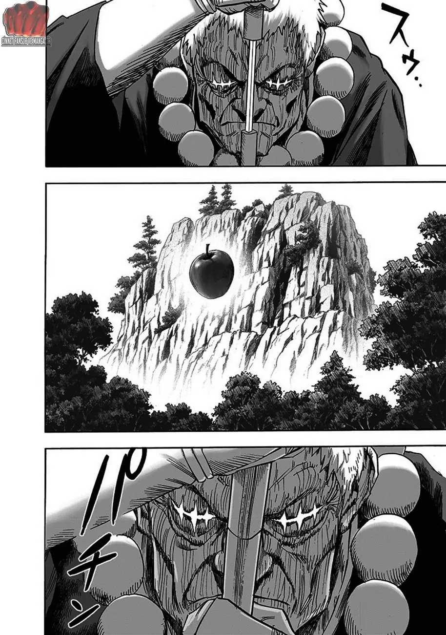 Read One Punch-Man TR Manga Online