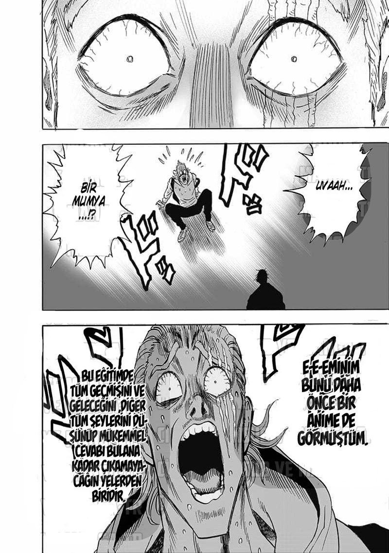 Read One Punch-Man TR Manga Online