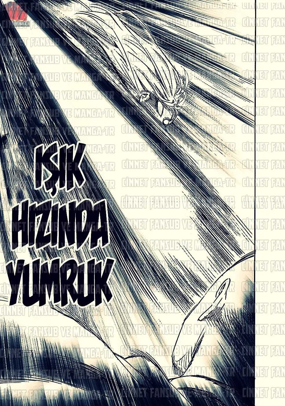 Read One Punch-Man TR Manga Online