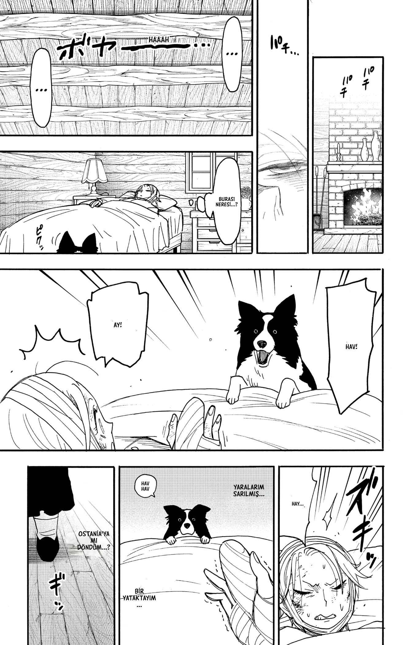 Read SPYxFAMILY TR Manga Online
