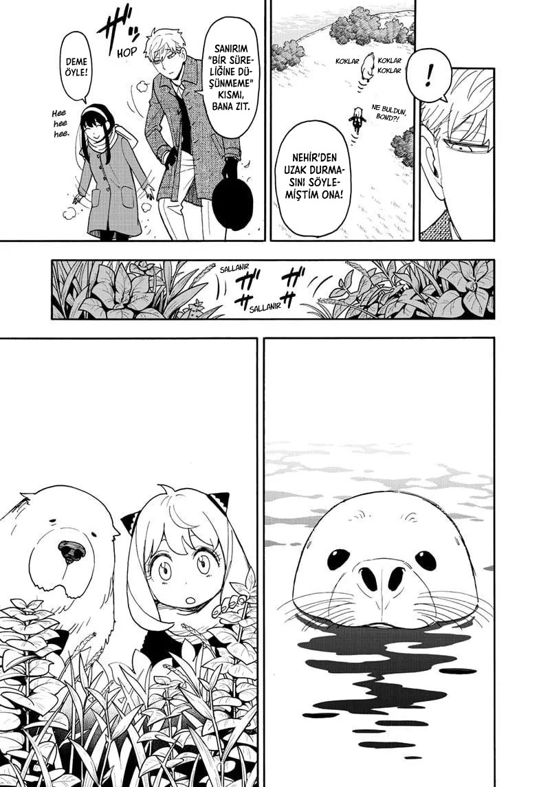 Read SPYxFAMILY TR Manga Online