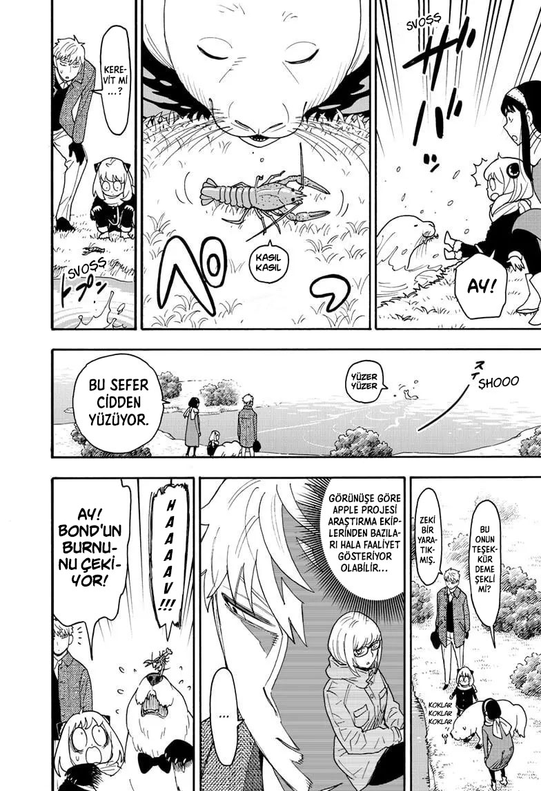 Read SPYxFAMILY TR Manga Online