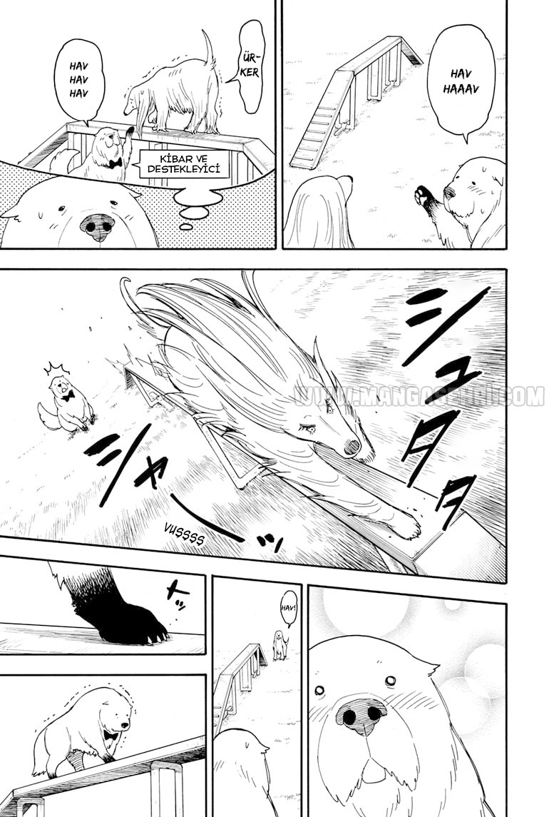 Read SPYxFAMILY TR Manga Online