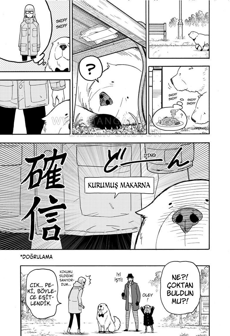 Read SPYxFAMILY TR Manga Online