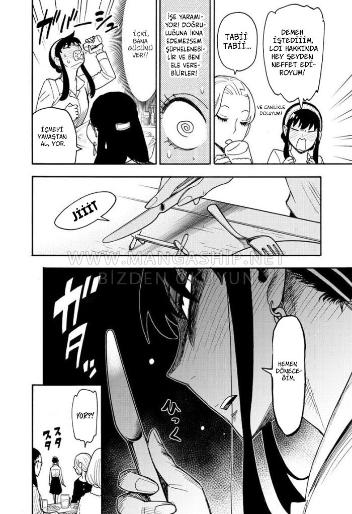 Read SPYxFAMILY TR Manga Online