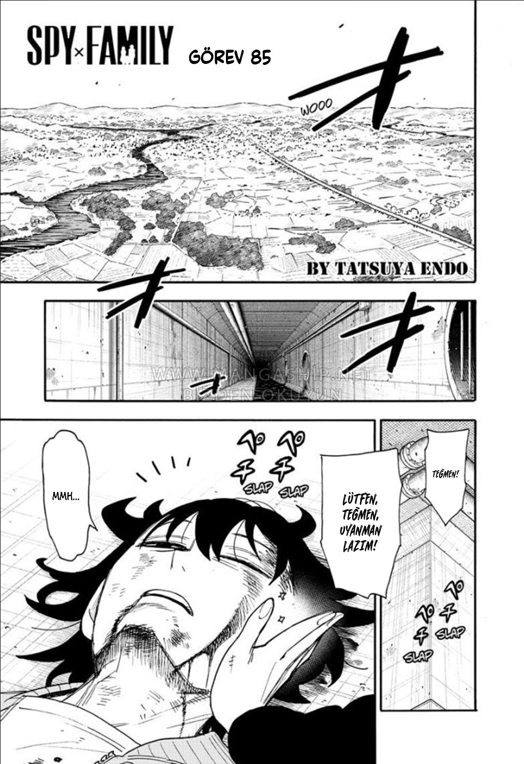 Read SPYxFAMILY TR Manga Online