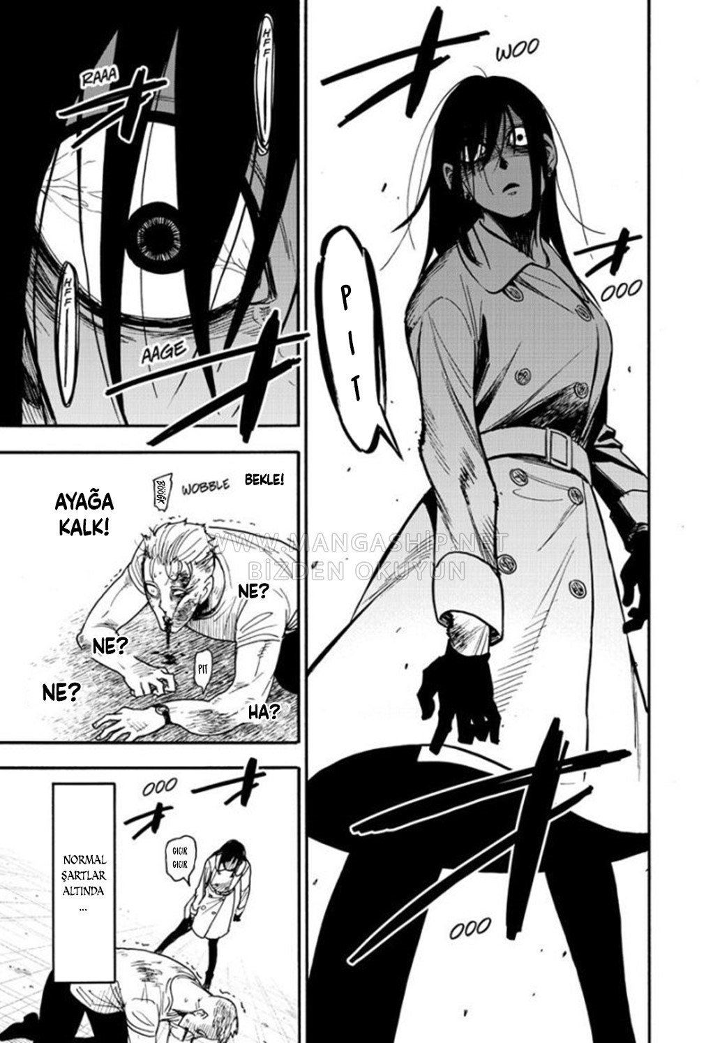 Read SPYxFAMILY TR Manga Online