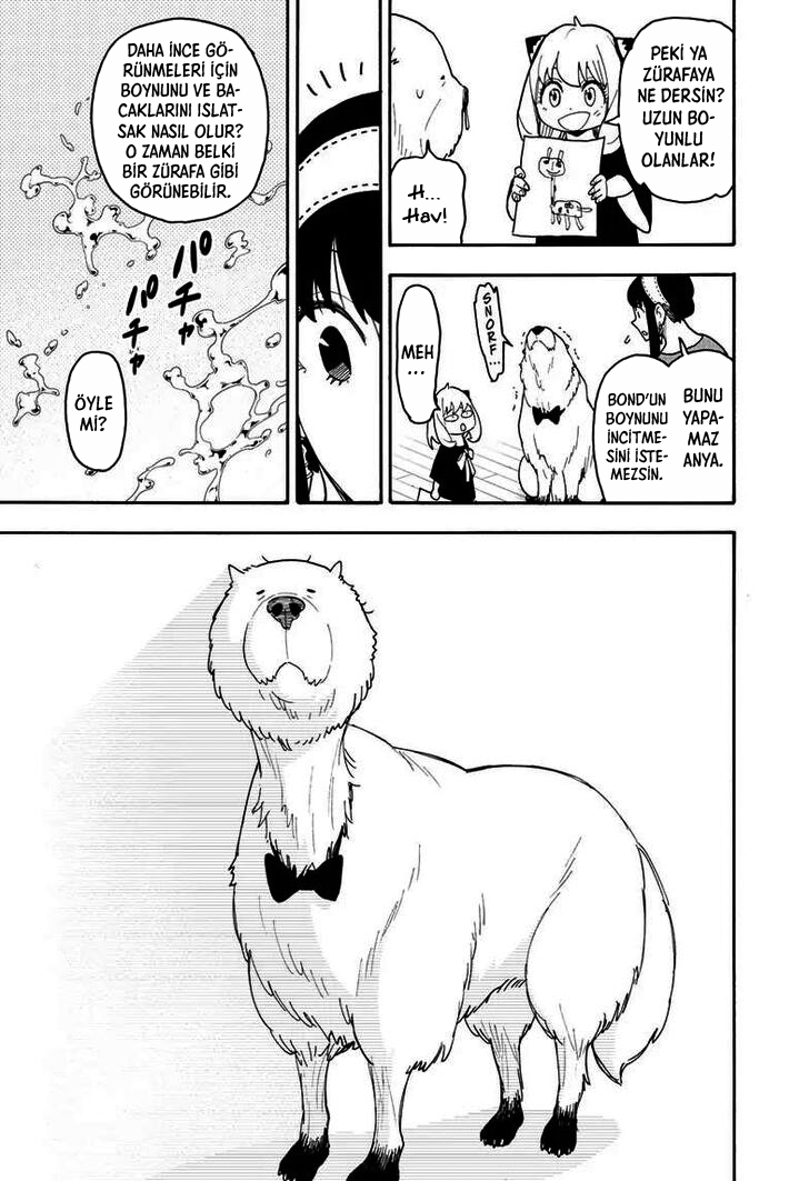 Read SPYxFAMILY TR Manga Online