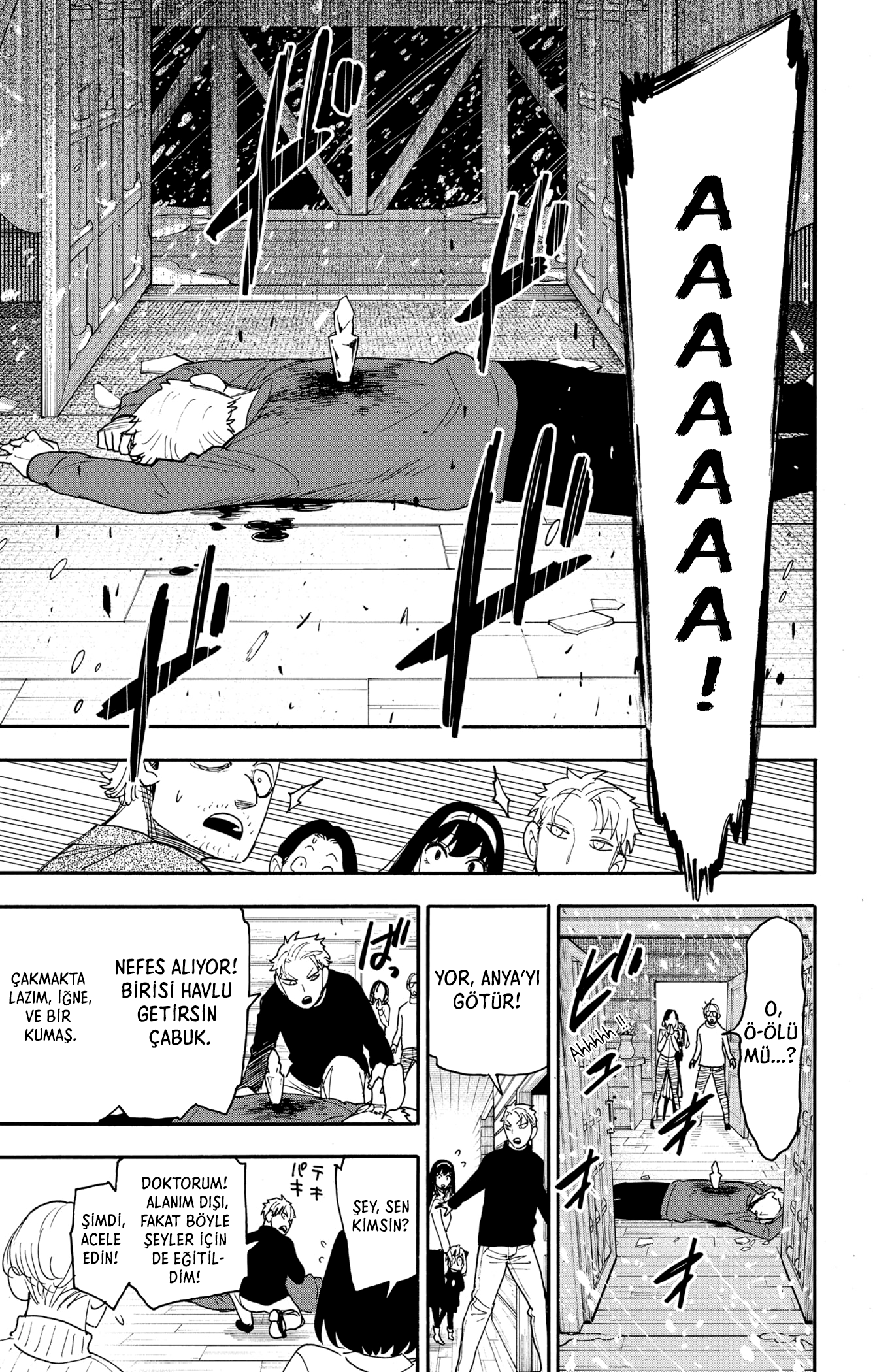 Read SPYxFAMILY TR Manga Online
