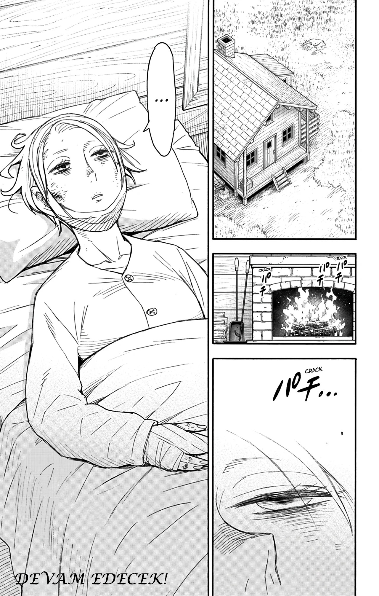 Read SPYxFAMILY TR Manga Online
