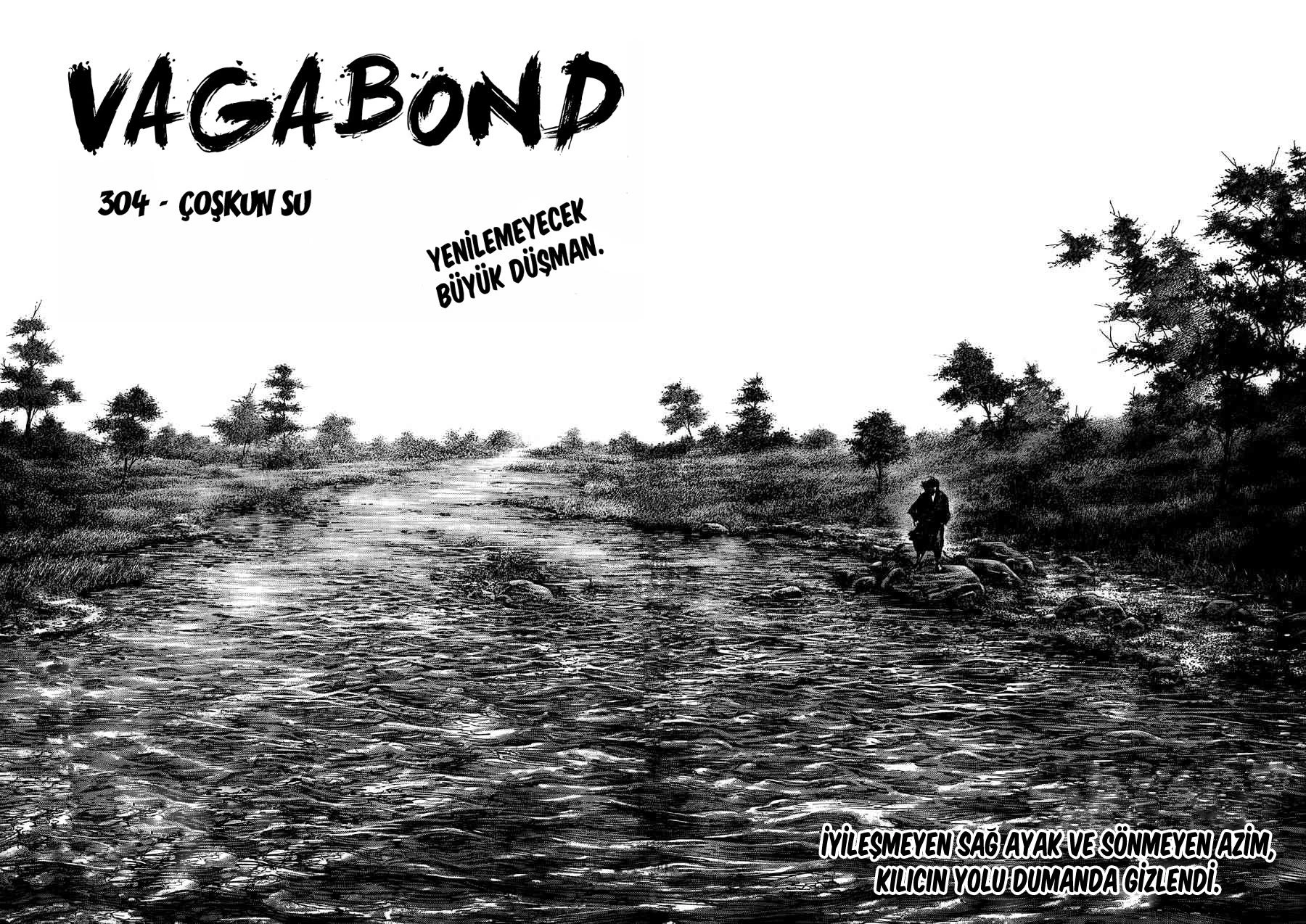 Read Vagabond TR Manga Online