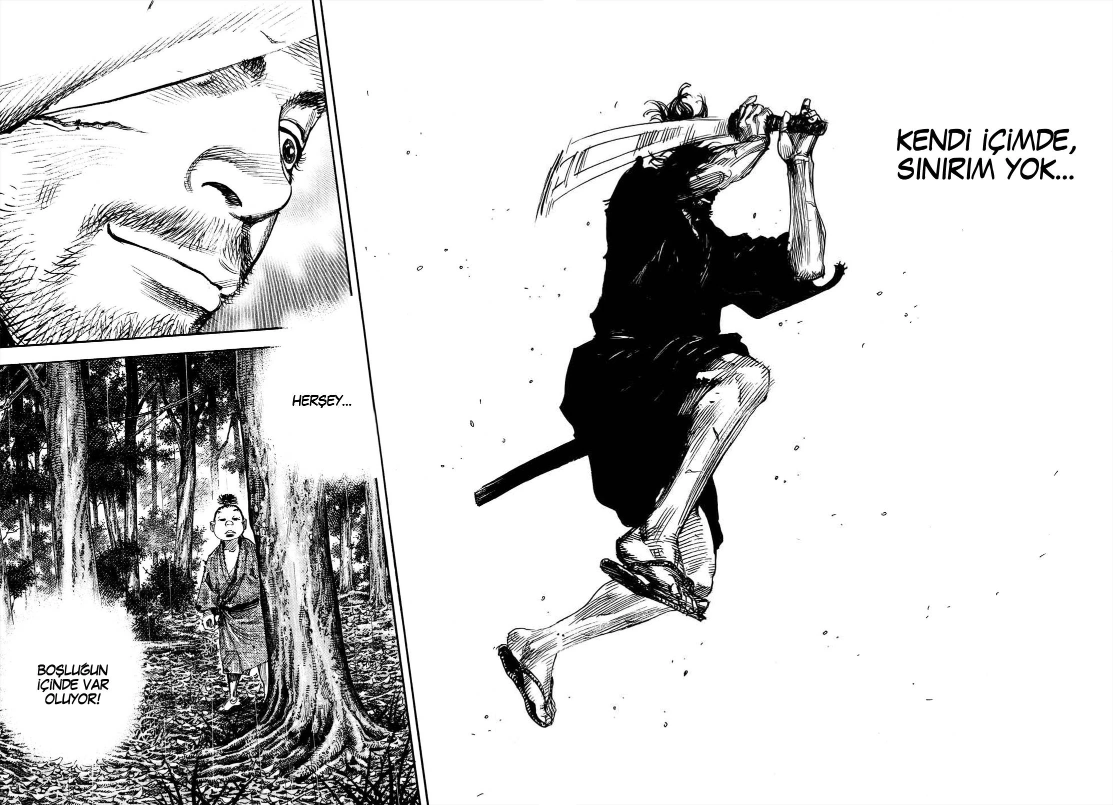Read Vagabond TR Manga Online