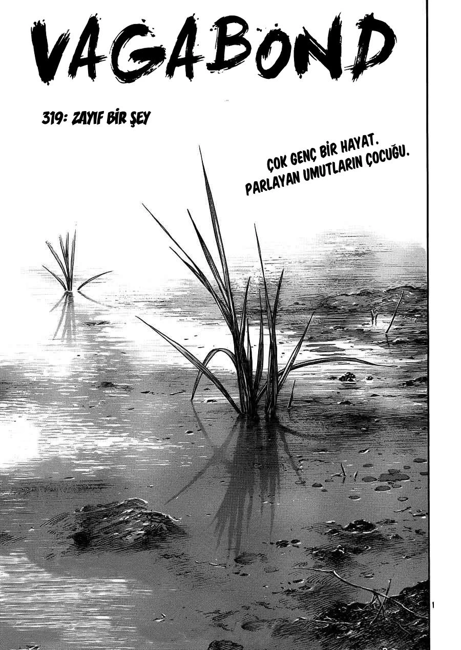 Read Vagabond TR Manga Online