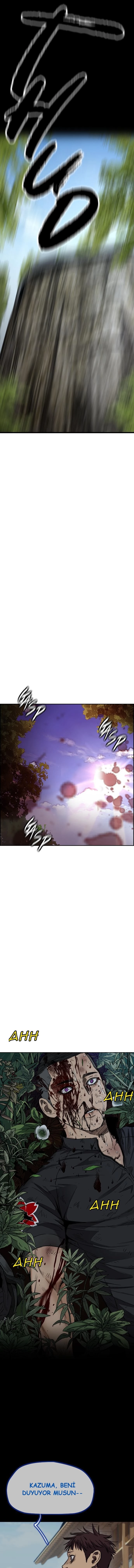 Read Wind Breaker TR Manga Online