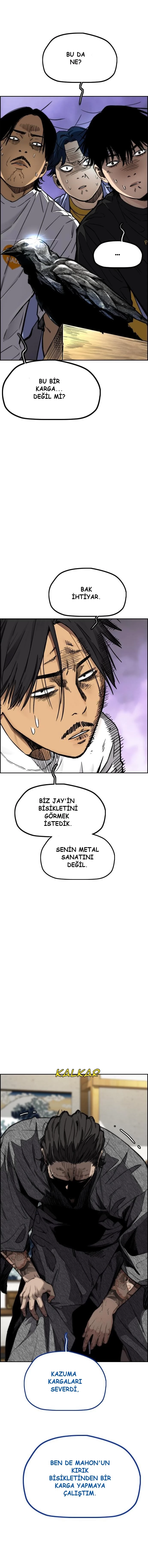 Read Wind Breaker TR Manga Online
