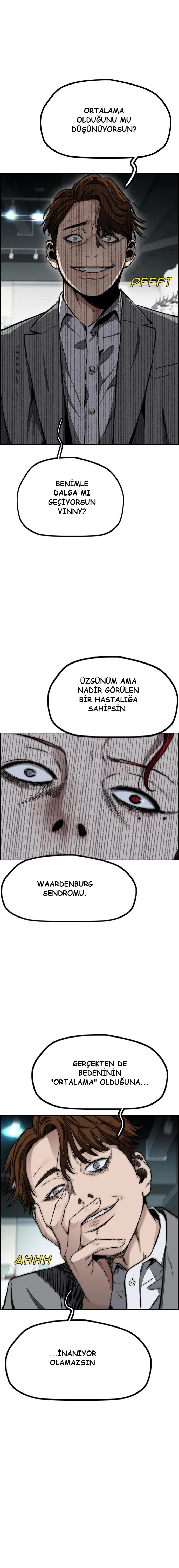 Read Wind Breaker TR Manga Online