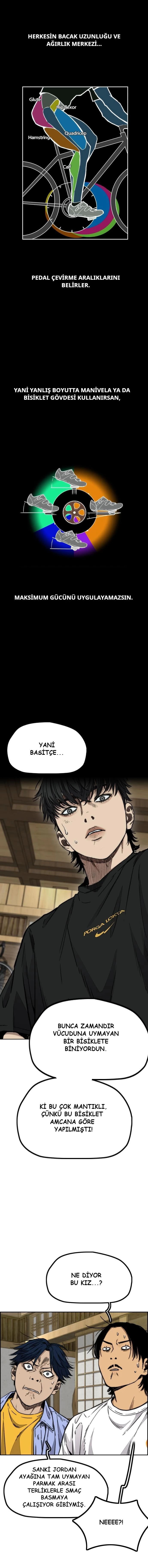 Read Wind Breaker TR Manga Online