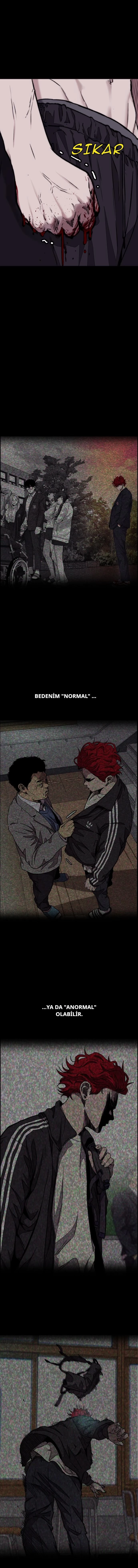 Read Wind Breaker TR Manga Online