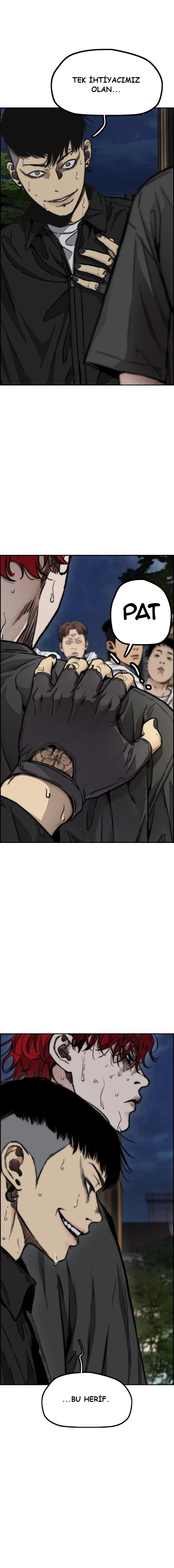 Read Wind Breaker TR Manga Online