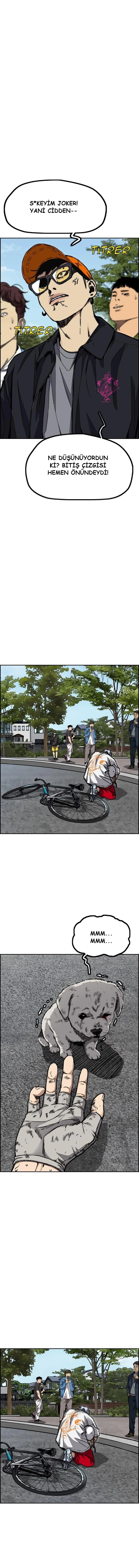 Read Wind Breaker TR Manga Online