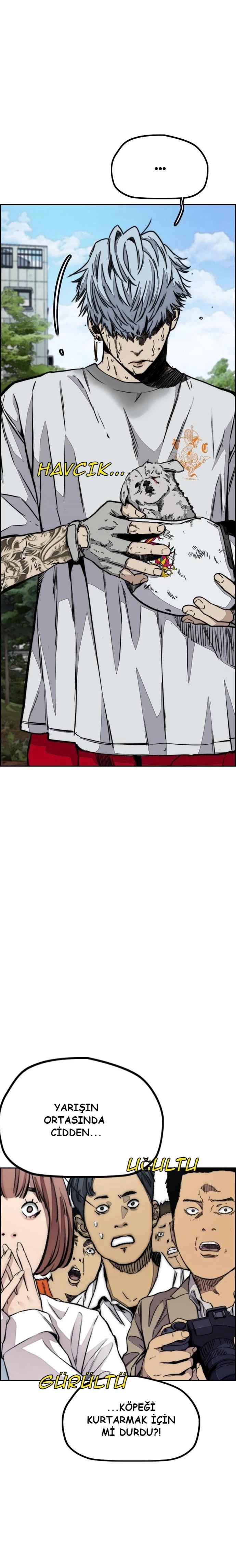 Read Wind Breaker TR Manga Online